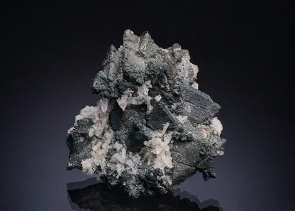 CC53262 specimen image