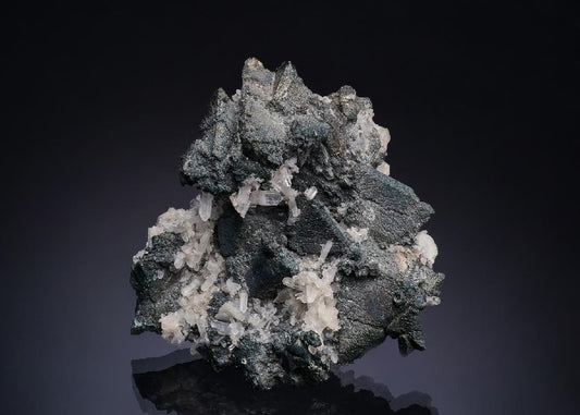 CC53262 specimen image