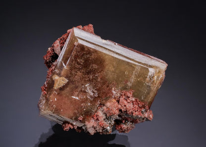 CC53264 specimen image