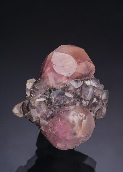 CC53266 specimen image