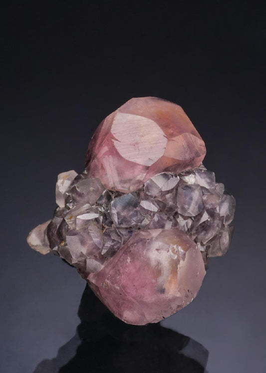 CC53266 specimen image
