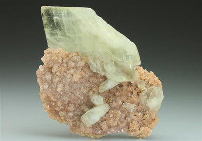 CC5329 specimen image