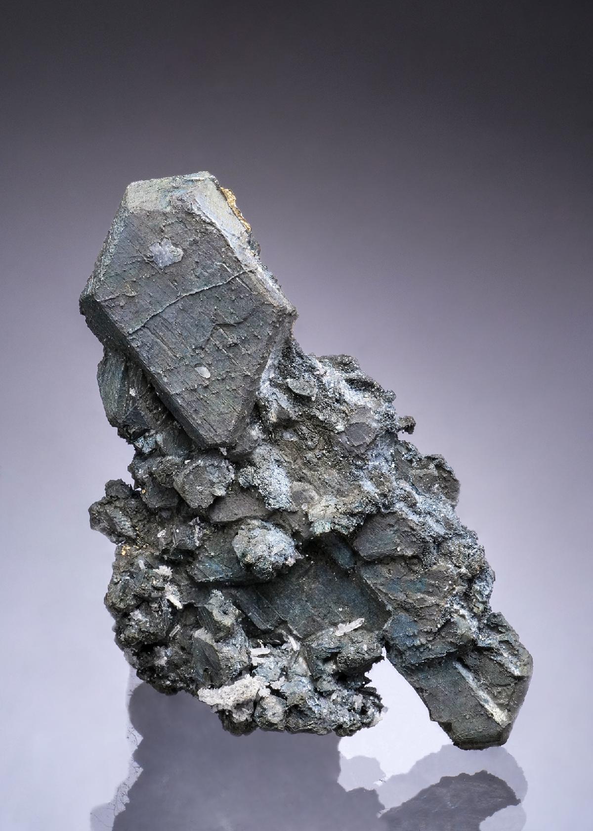 CC53300 specimen image