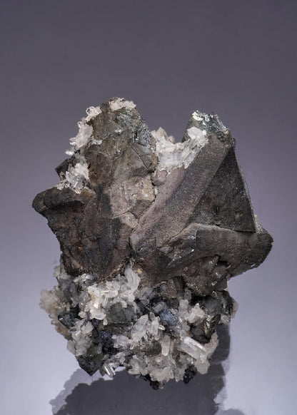 CC53328 specimen image