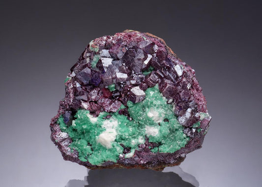 CC53330 specimen image