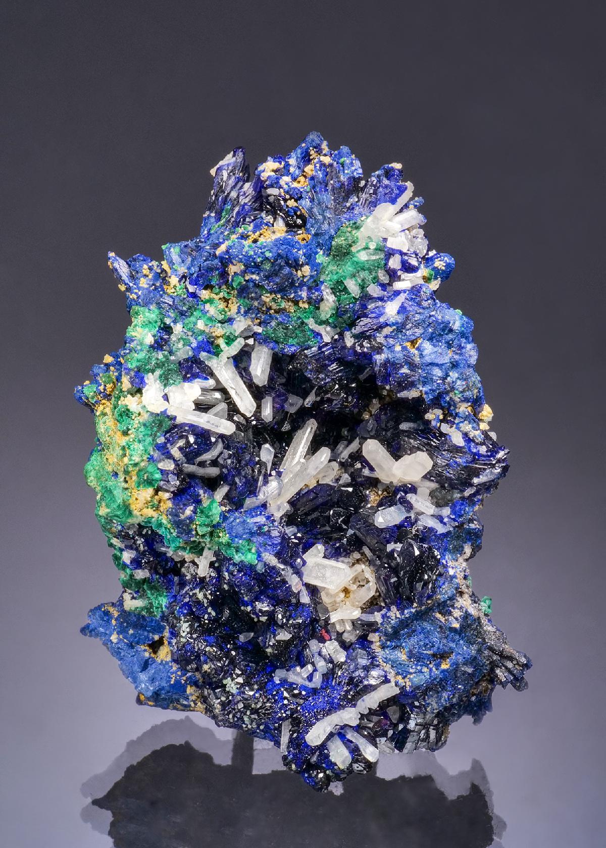 CC53336 specimen image