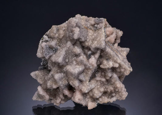 CC53342 specimen image