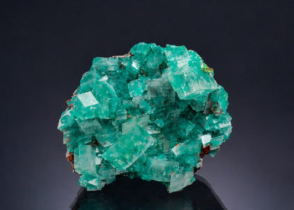 CC53350 specimen image