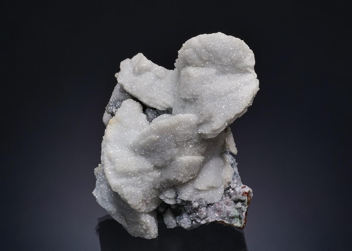 CC53364 specimen image