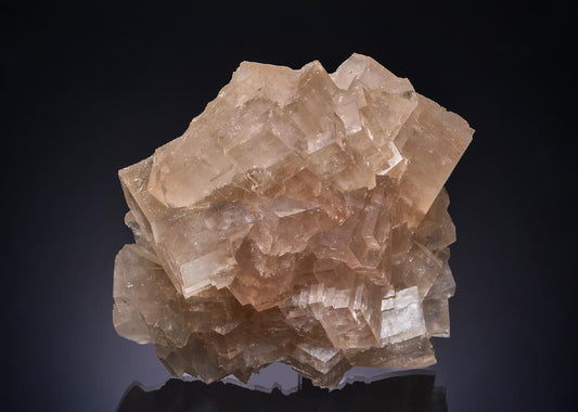CC53392 specimen image