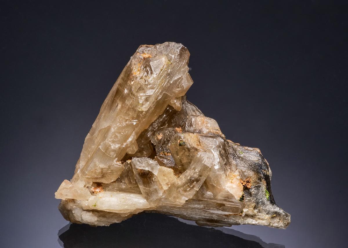 CC53462 specimen image