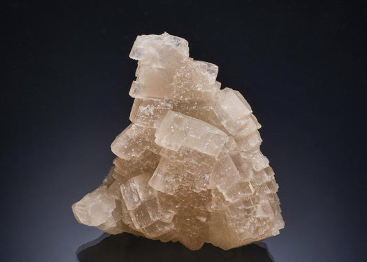 CC53466 specimen image