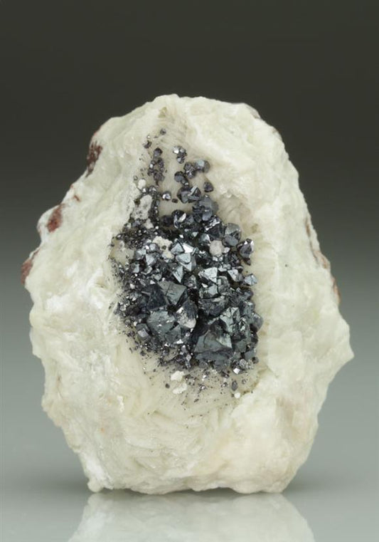 CC5352 specimen image