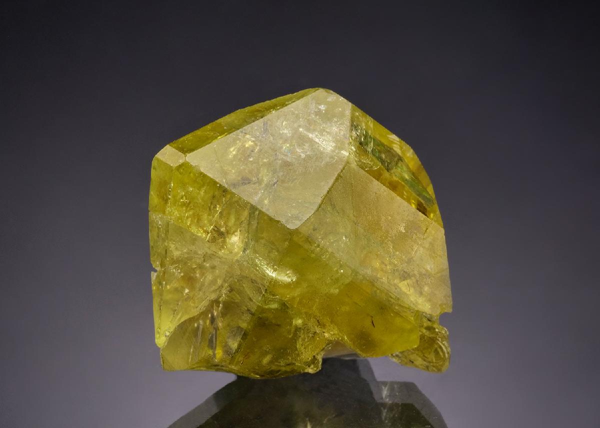 CC53534 specimen image