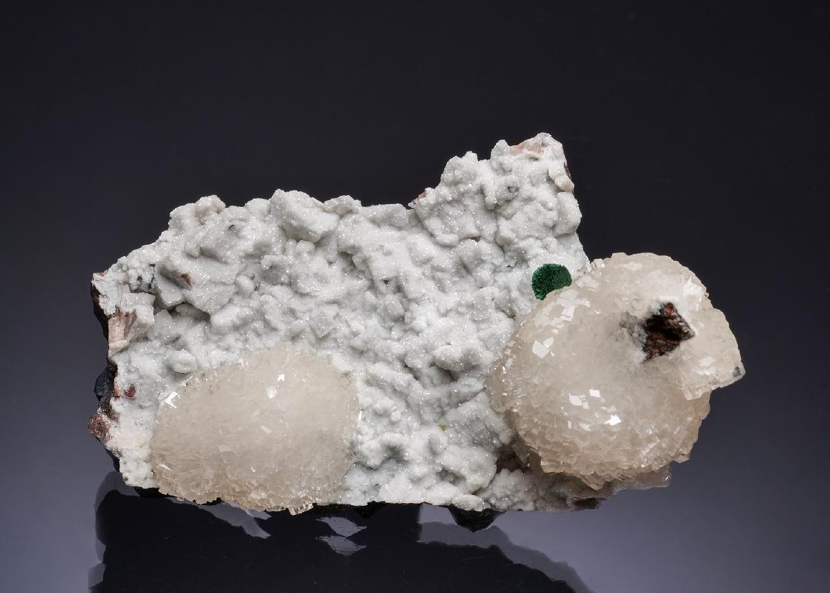 CC53558 specimen image