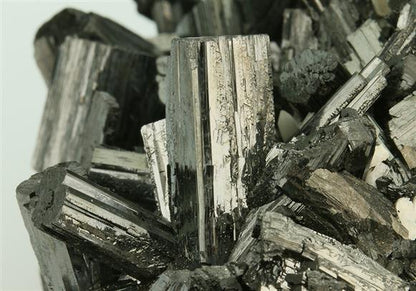 CC5357 specimen image