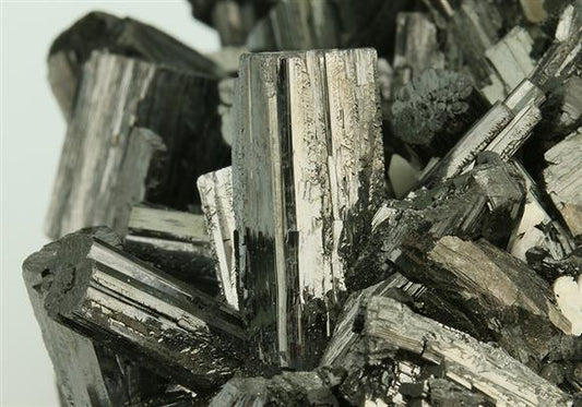 CC5357 specimen image