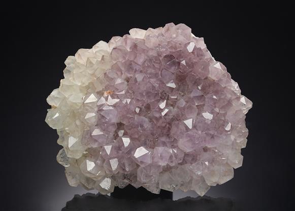 CC5365 specimen image