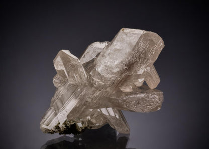 CC53684 specimen image