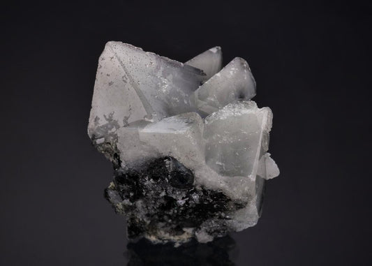 CC53696 specimen image