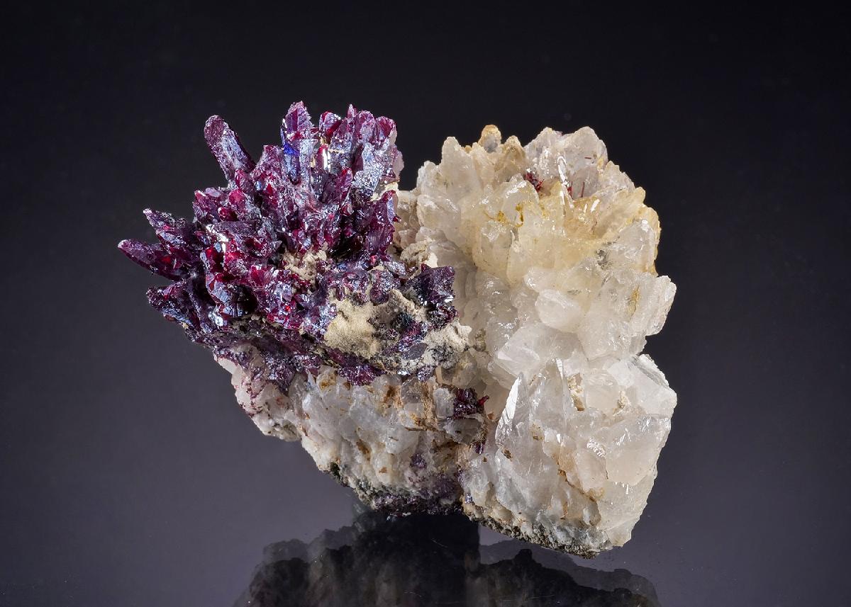 CC53770 specimen image