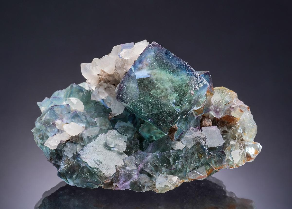 CC53782 specimen image