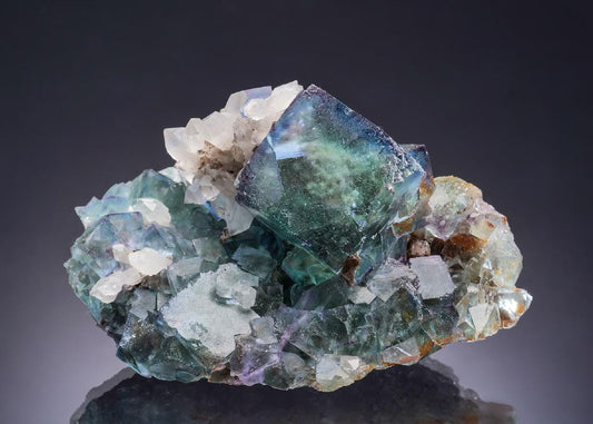 CC53782 specimen image
