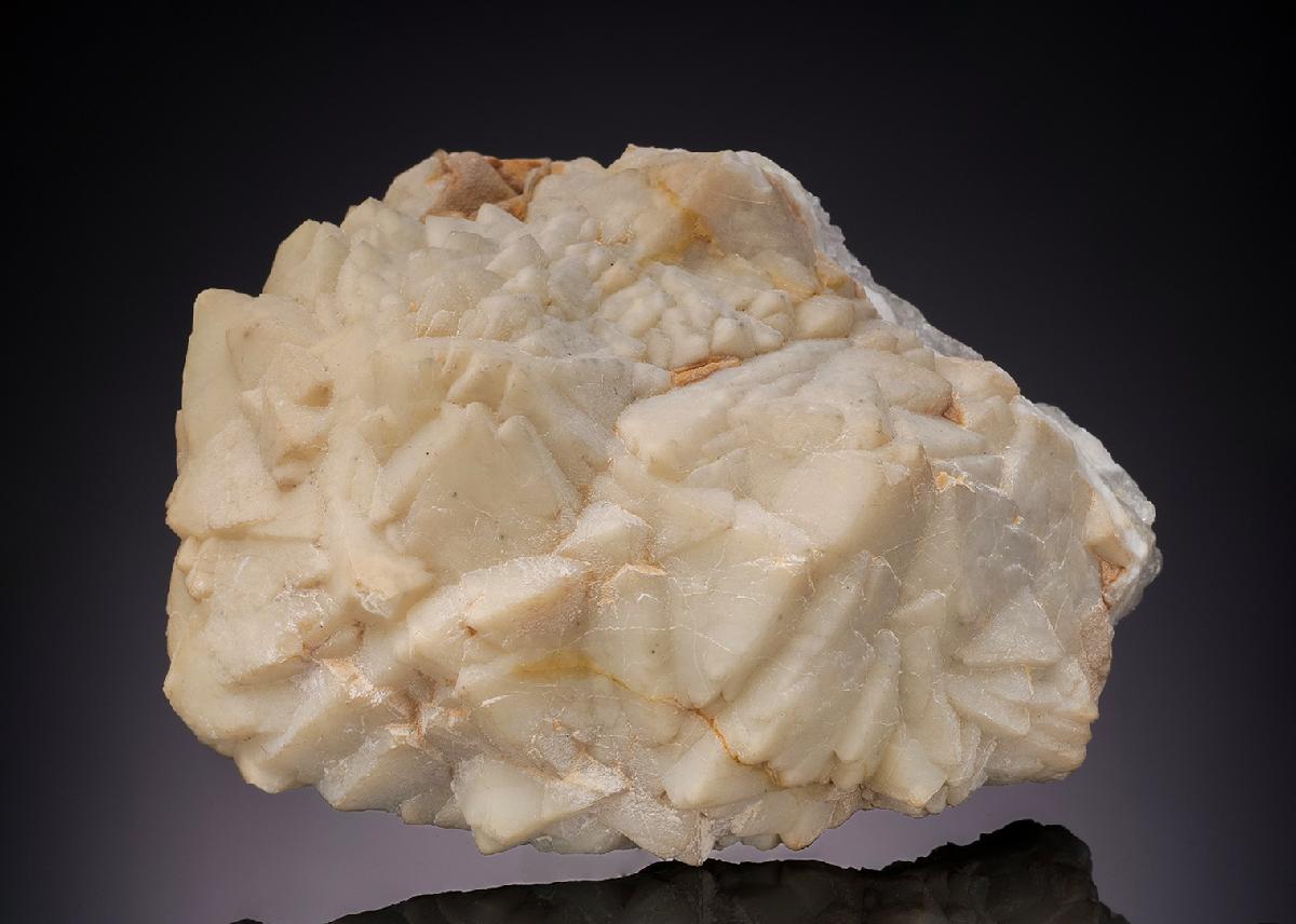 CC5379 specimen image
