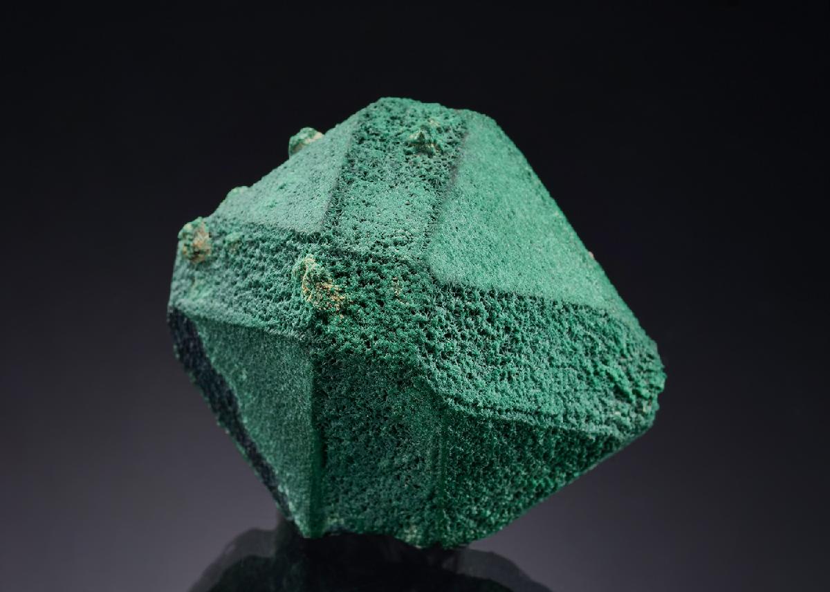 CC53798 specimen image