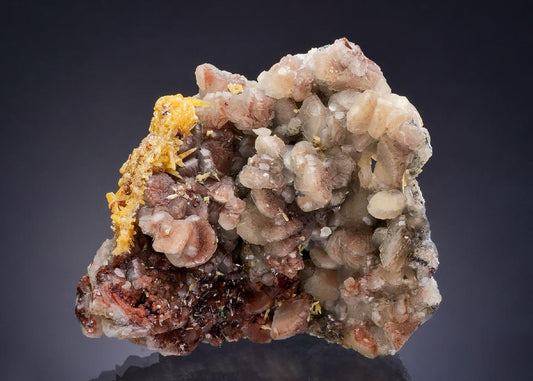 CC53812 specimen image
