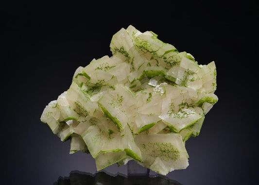 CC53840 specimen image