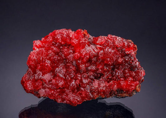 CC53843 specimen image