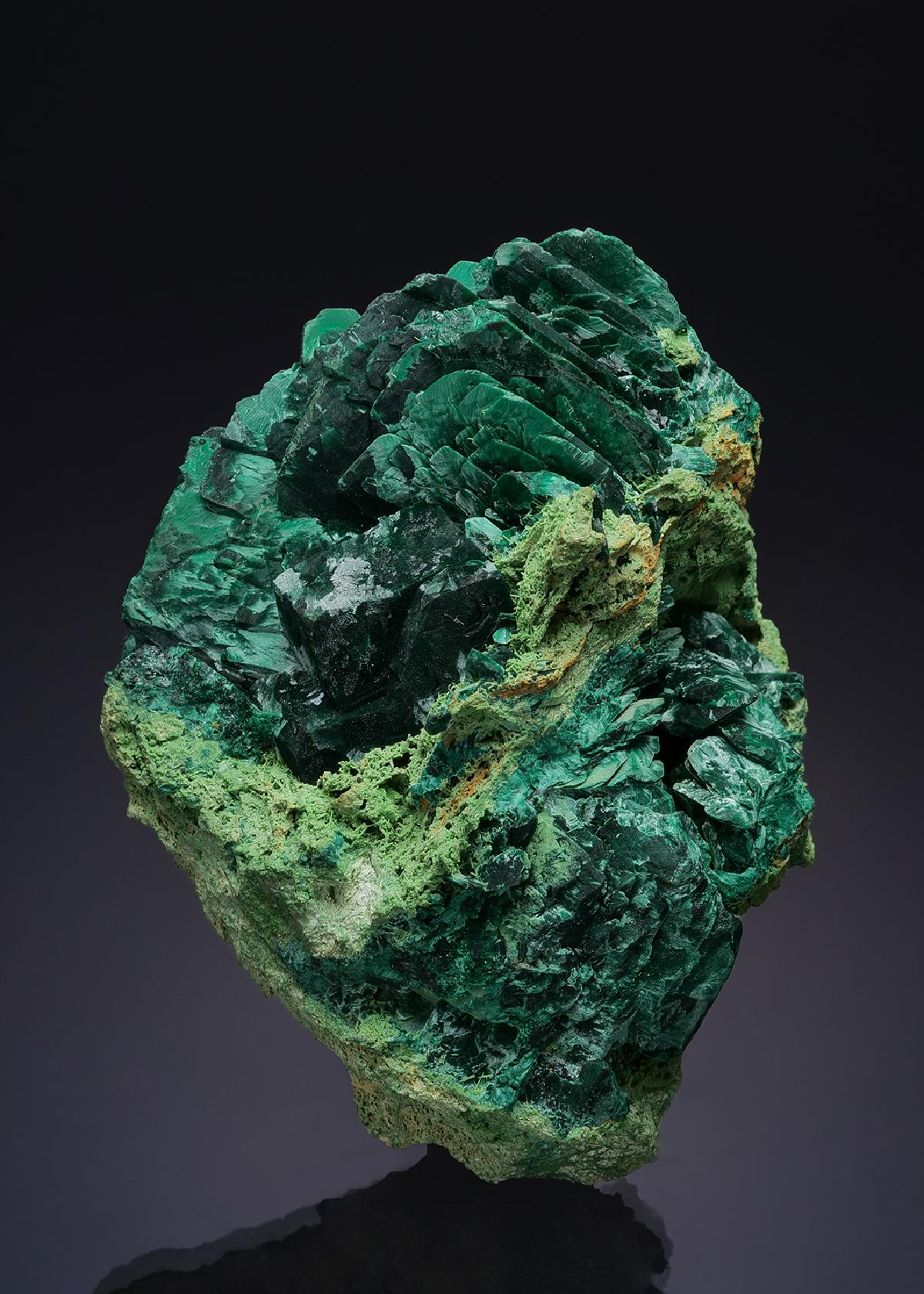 CC53852 specimen image