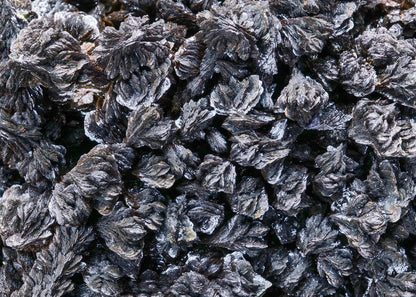 DESCLOIZITE