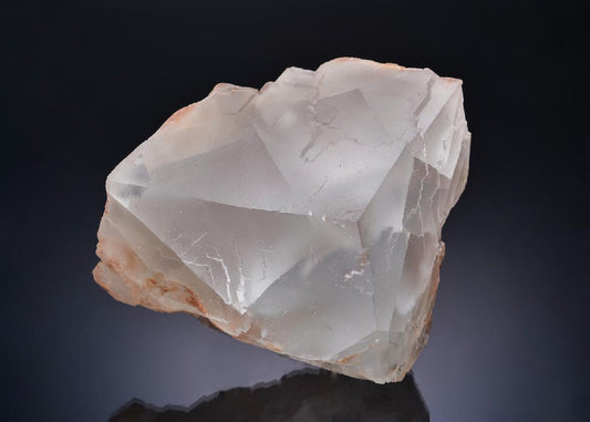 CC53875 specimen image