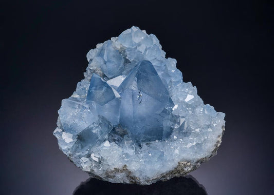 CC53881 specimen image