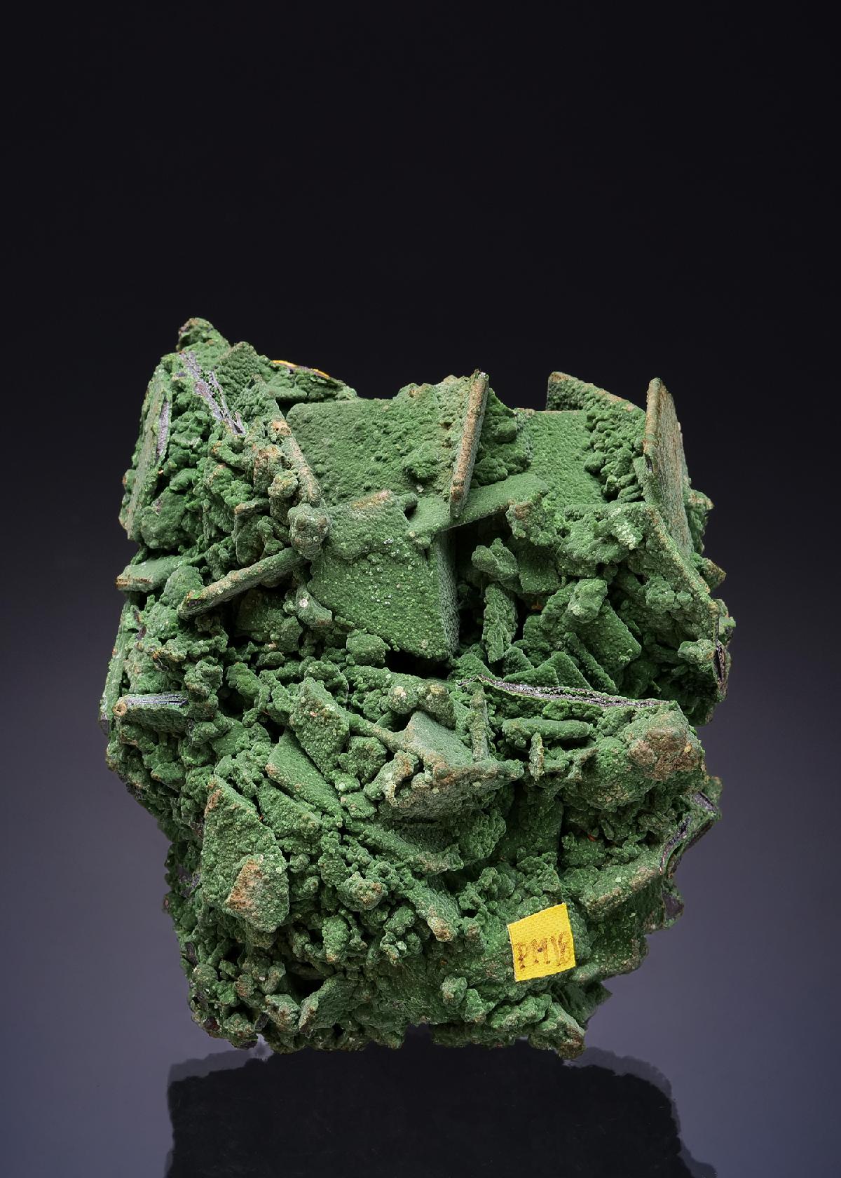 CC53886 specimen image