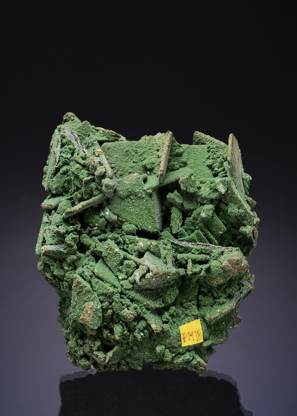 CC53886 specimen image