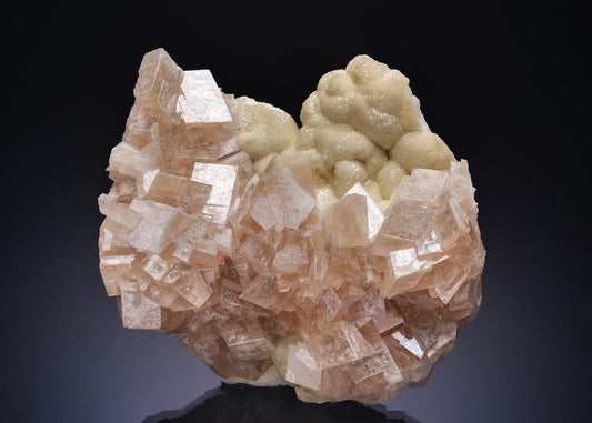 CC53889 specimen image