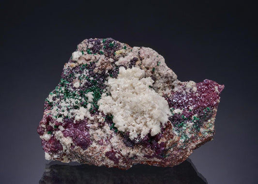 CC53900 specimen image