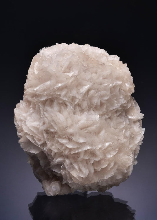 CC53905 specimen image