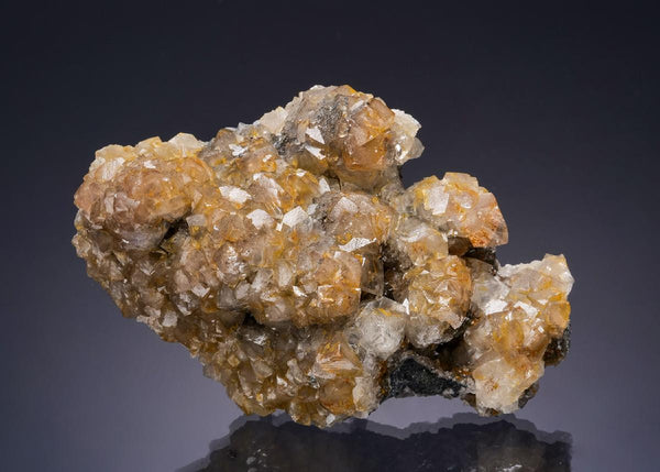CC53906 specimen image