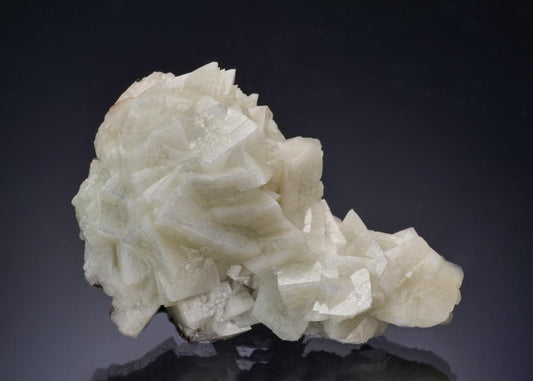 CC53926 specimen image