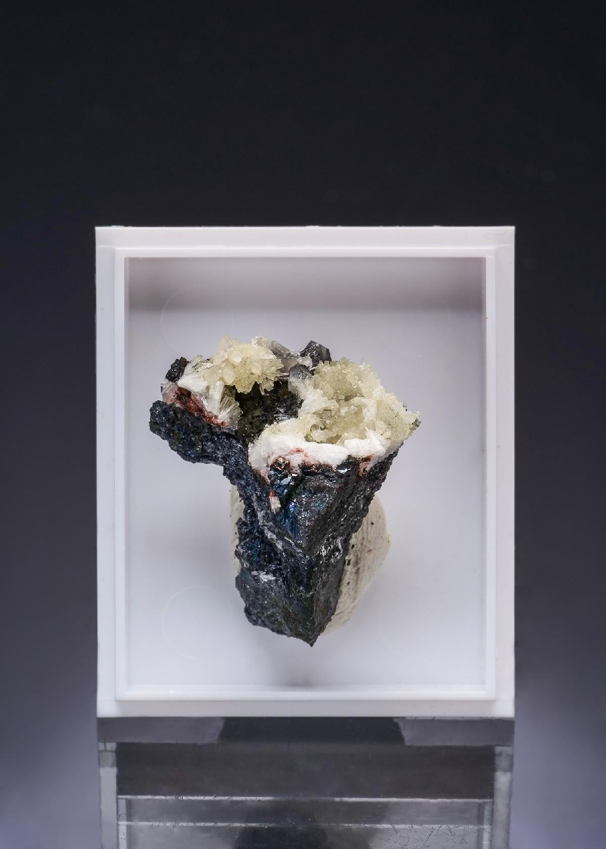 CC53934 specimen image
