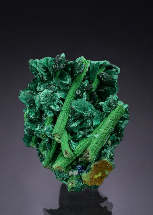 CC53944 specimen image
