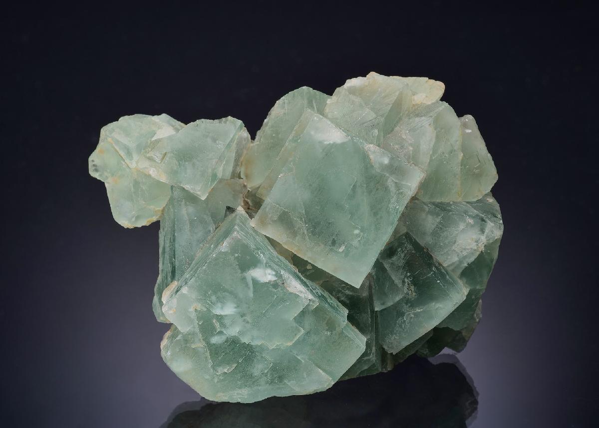 CC53954 specimen image