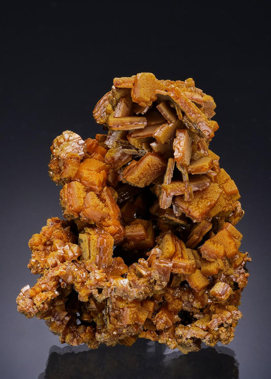 CC53958 specimen image