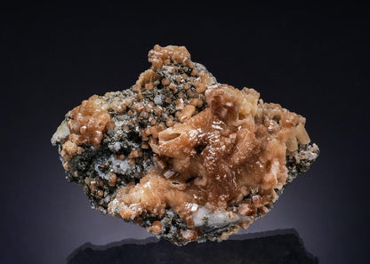 CC53962 specimen image