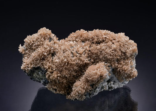 CC53968 specimen image