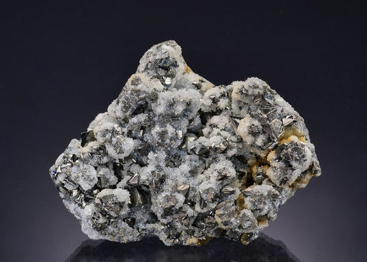 CC53972 specimen image